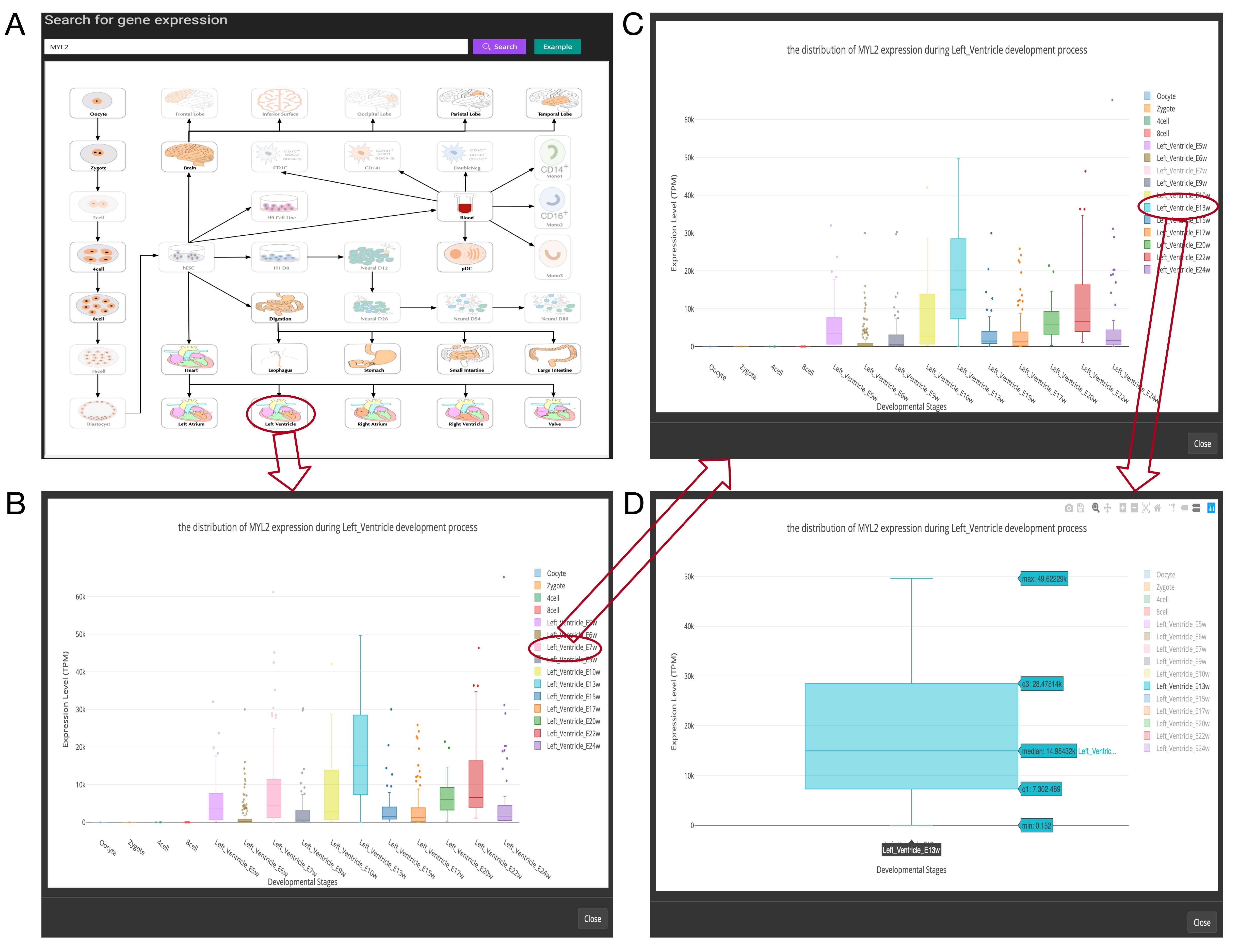 search for gene expression